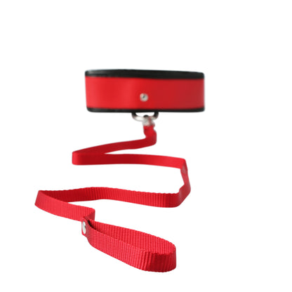 Sex And Mischief Leash And Collar